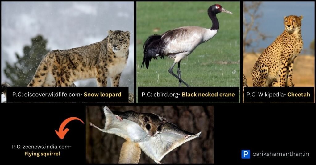 Images of Black-necked crane, Cheetah, Flying squirrel and Snow leopard. 