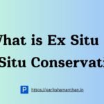 What is Ex Situ & In Situ Conservation